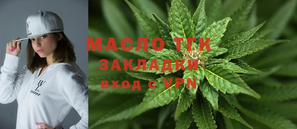 индика Волоколамск