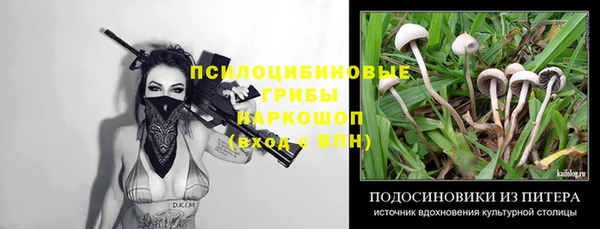 PSILOCYBIN Волосово