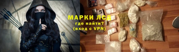 индика Волоколамск
