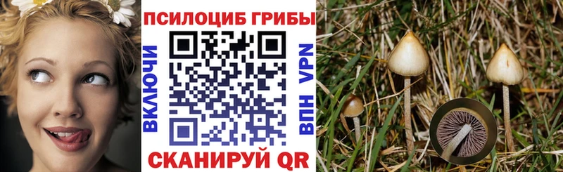 Псилоцибиновые грибы мухоморы Ейск